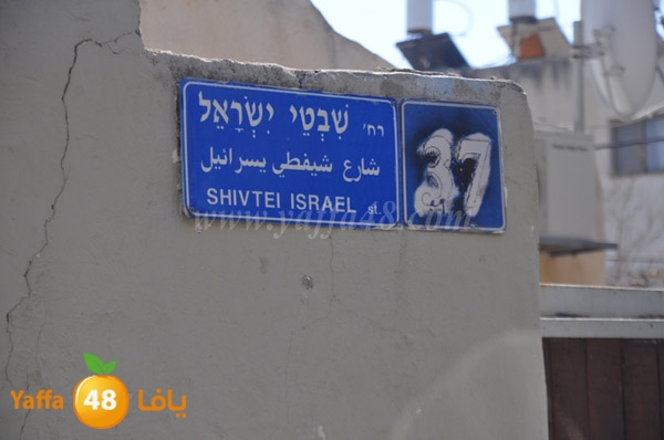 shefty yesra2el 0205 (2).JPG